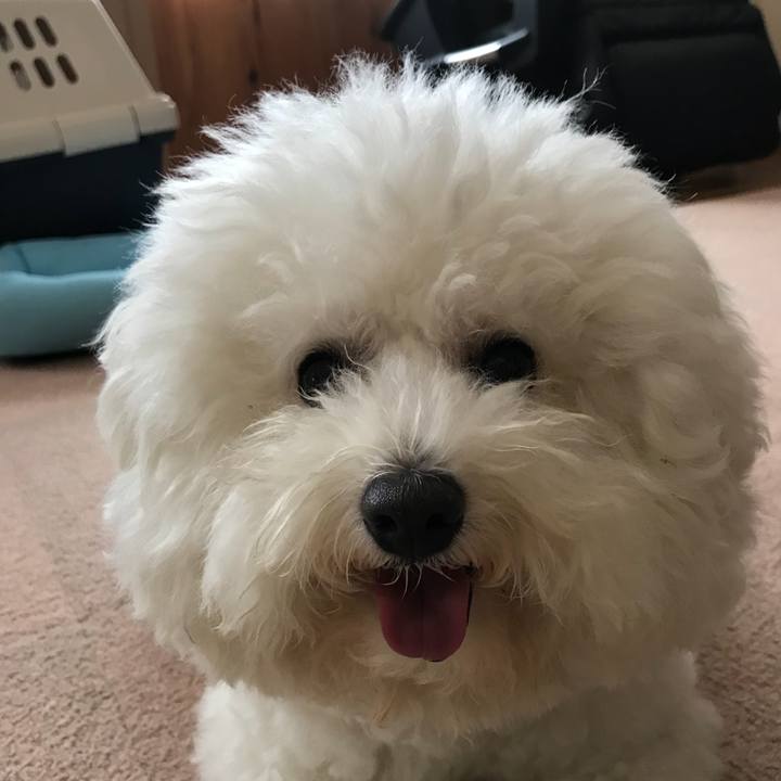 A66c16ef c8a8 4819 a493 b34d99baf013 1528688841166