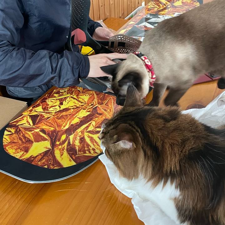 A66c39b6 1578 4b53 930a 9cfa3295989f 1768469542183