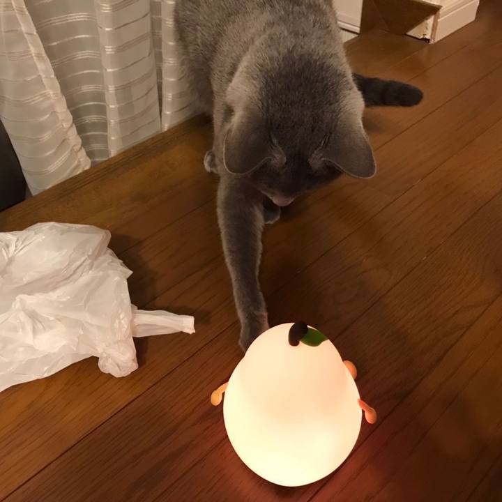 A66c4f11 a0f8 48f1 b5ba 45c79ecd71e6 1668905429235