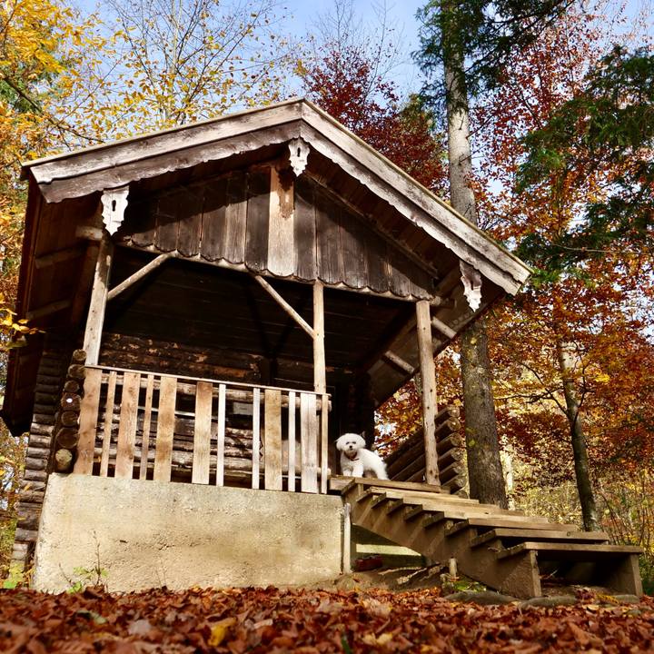 A66c5561 b623 454f b47e 370ab4df762d 1762351575027