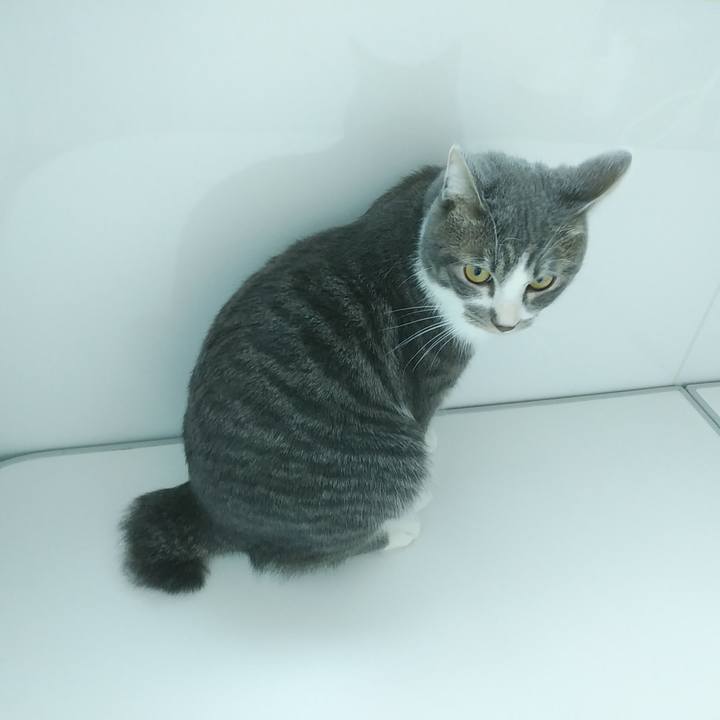 A66c6541 c238 4b53 b8ea 7f710761120f 1580857409906