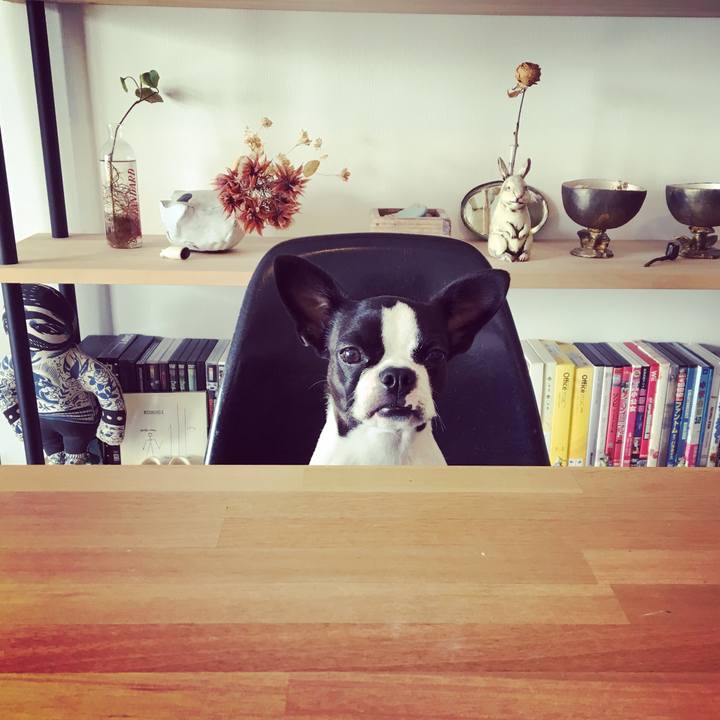 A66c70c1 9d0b 4489 9a32 d56a2a209dba 1522289784670