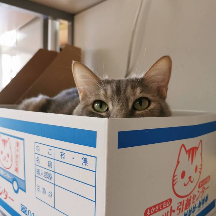 A66caeb7 a0f1 4920 b196 0b5063dc0292 1617680852333