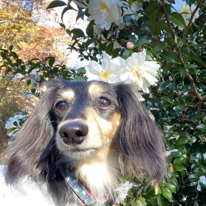 A66d32ae 0ade 4662 a3bd b338af1f4b7d 1764464471519