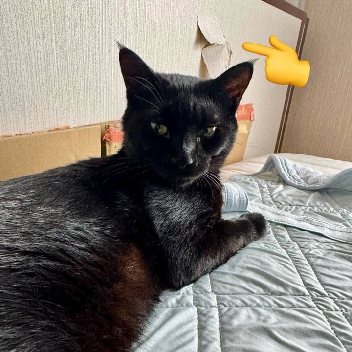 A66d84fb ef76 4297 a893 fd0cedb51d35 1749951880903