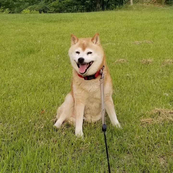 A66de5a8 d67d 4447 a63b 61b0293d8a37 1718874747046