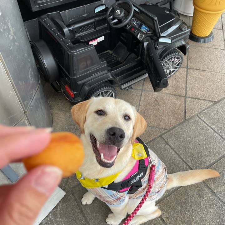 A66dfd90 aeae 4460 b104 b5ae70f58768 1625733769484