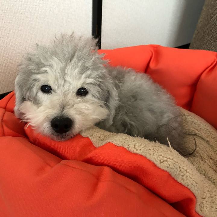 A66e35f5 c402 48fe 9389 d42aa07028d4 1547185605185