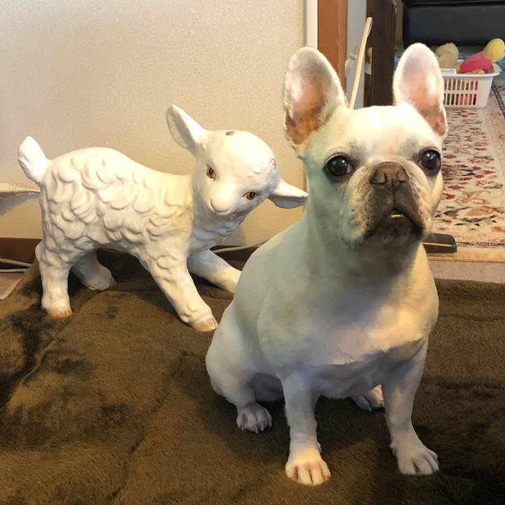 A66e3e6d 3b87 447b a2b1 5c97b2127203 1615705577453