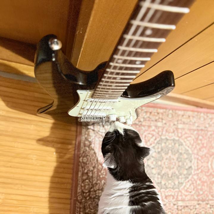 A66e8975 e213 4c69 b9e7 3b884f565003 1769134397470