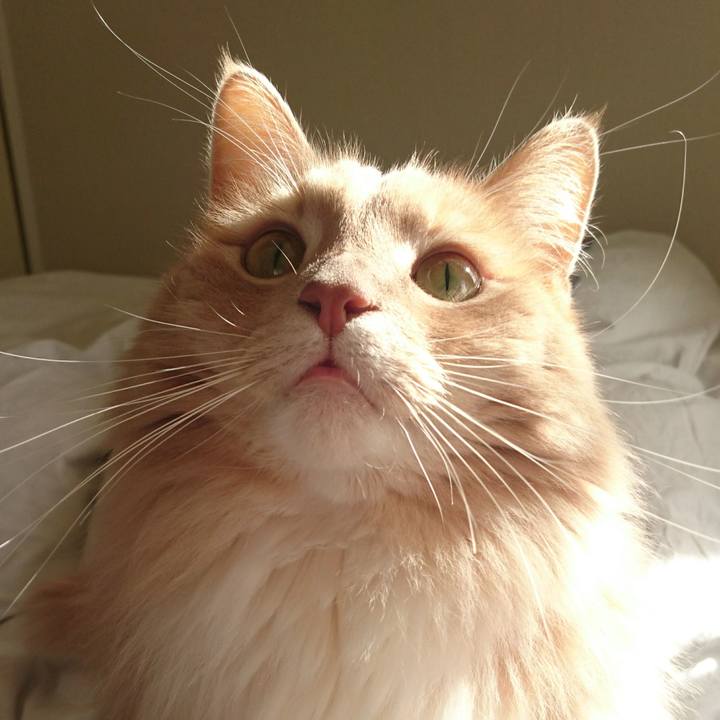 A66e957b e0a1 4c48 9f69 469d6b1e48e1 1513563815221