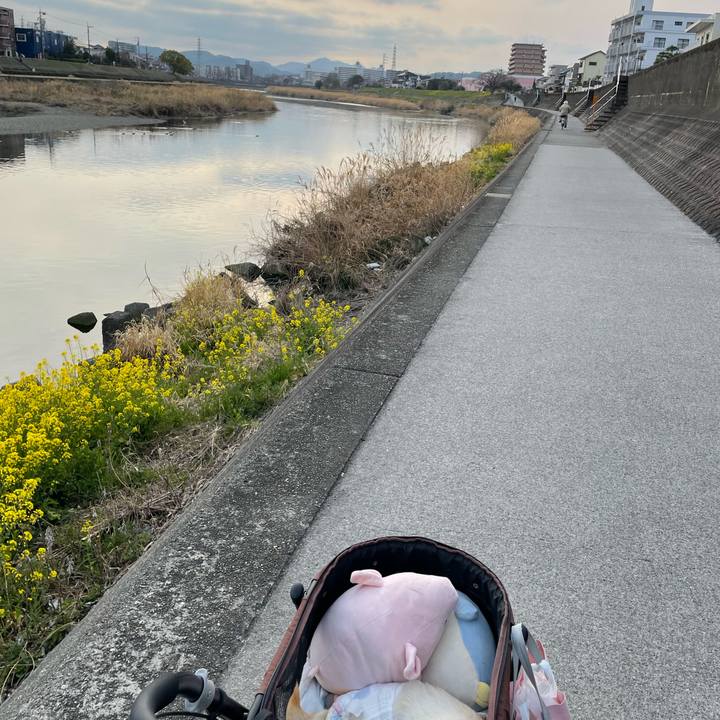 A66eefbb 834d 49c6 85f3 741a5d4e5bfc 1678269603247