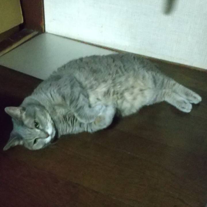 A66f1685 79d0 41c2 b4df f76bf31b08eb 1629378439316