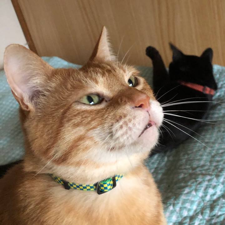 A66f2f4f f40c 474d 8bb9 f456b5447a08 1724057994772