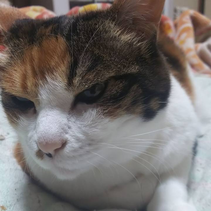 A66f81f2 2018 4dc2 8b30 72c938e52fd3 1562018105633