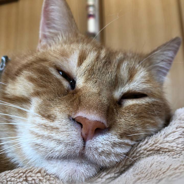 A66f8bcd d238 4cab 83f7 1d05d831ea90 1585964748809