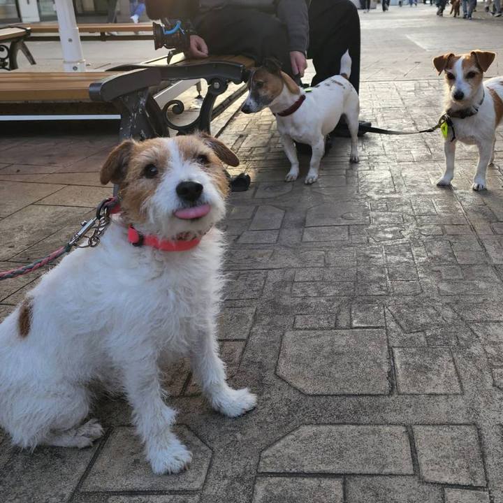 A66f9f1c 5230 40c3 a894 fa1a2dd57cf9 1677942197274