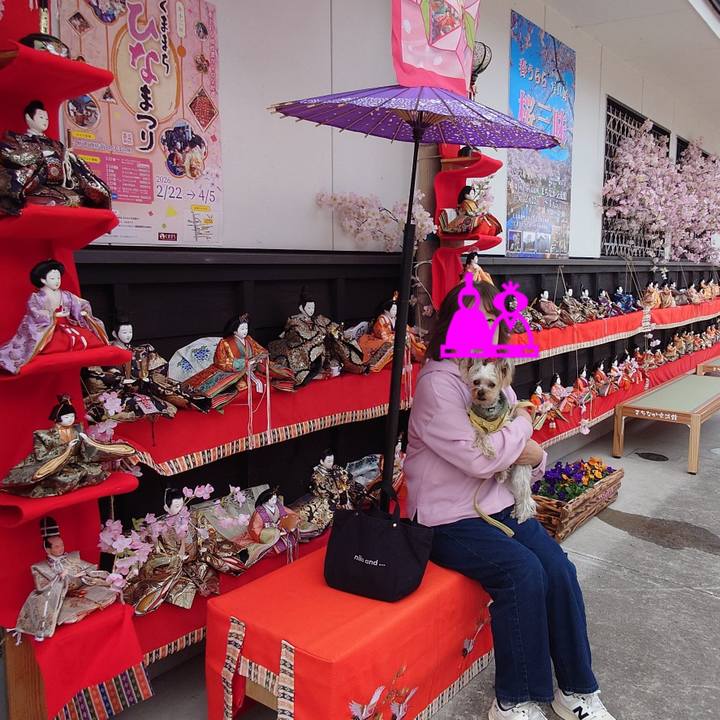 A66faa28 a69d 465d b0db befa126f9810 1772400460253