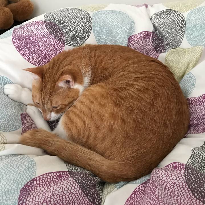 A66fcb0d e6a1 4bcc 89d4 075e68798f90 1557217518084