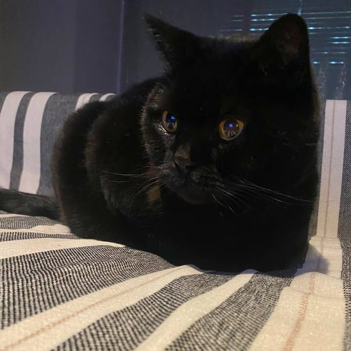 A66feea9 7248 47a1 b2e3 dae30e617b95 1770379995797