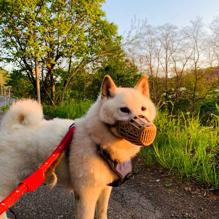 A67009d9 51cd 4d15 8f85 4f14313160f8 1652818257072