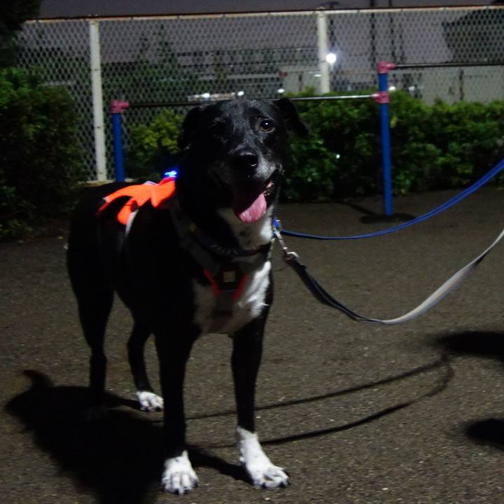 A6707e89 805b 4be5 a037 2e6199843641 1728126601814