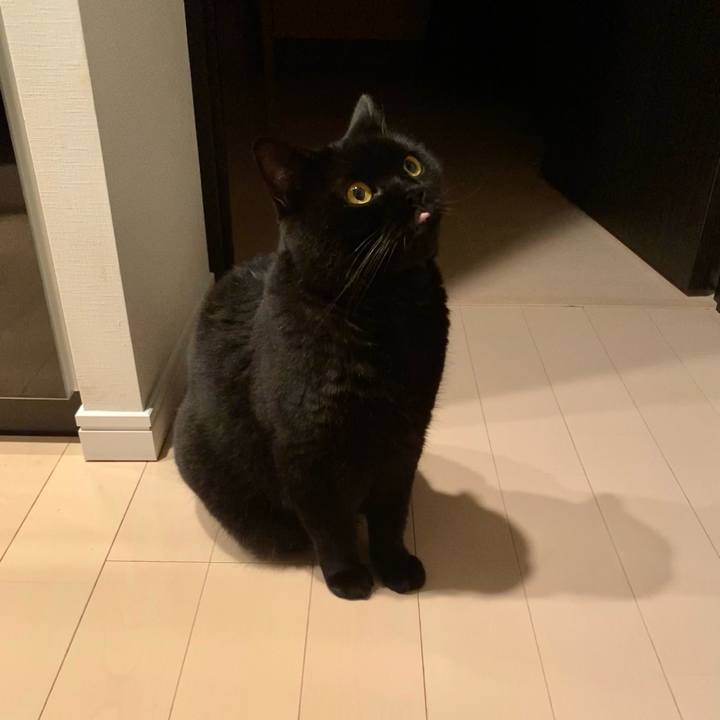 A6709bd1 8cf6 40ee 9b53 f34e5c9f0c8a 1694609793943