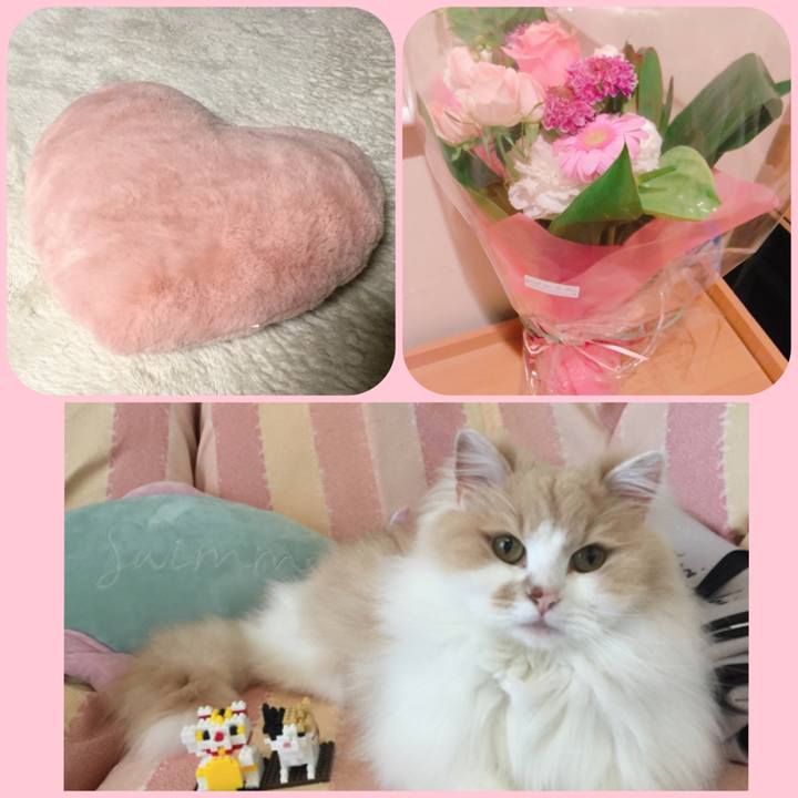 A670c012 ac8a 4bc0 aff9 130bb3f9a26e 1528815445137