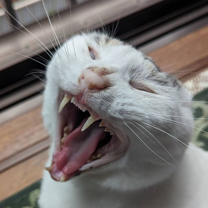 A6713a65 559a 4b1c b324 c11453fef2ac 1715506140343