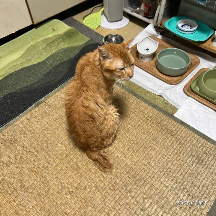 A6713d0c fd69 459b 95bc a626b6139bf6 1761958436015