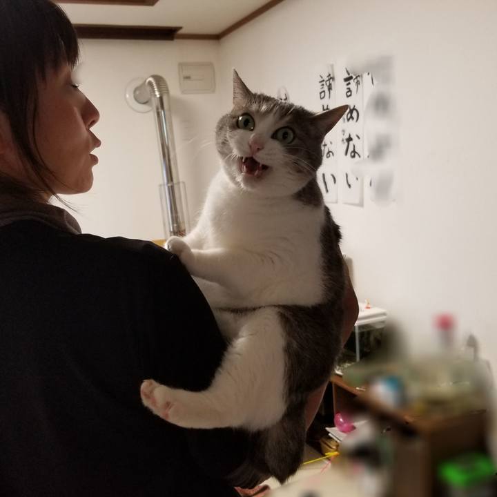 A67140aa 404f 4276 96e4 7e060c5e224b 1595772541651