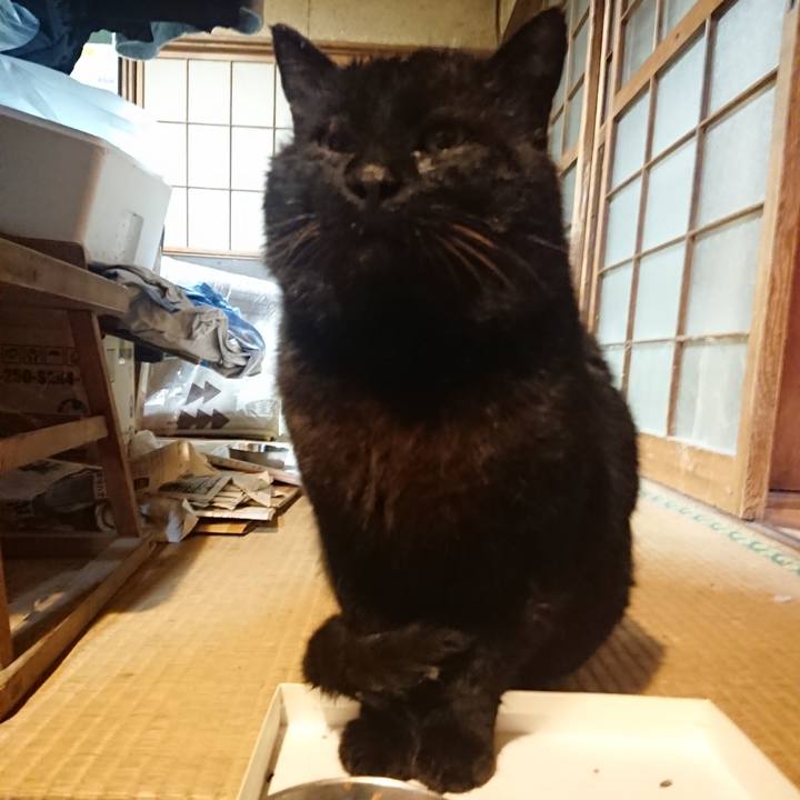 A671829d bcae 46dc 8e69 0a6a813a0deb 1615804556187