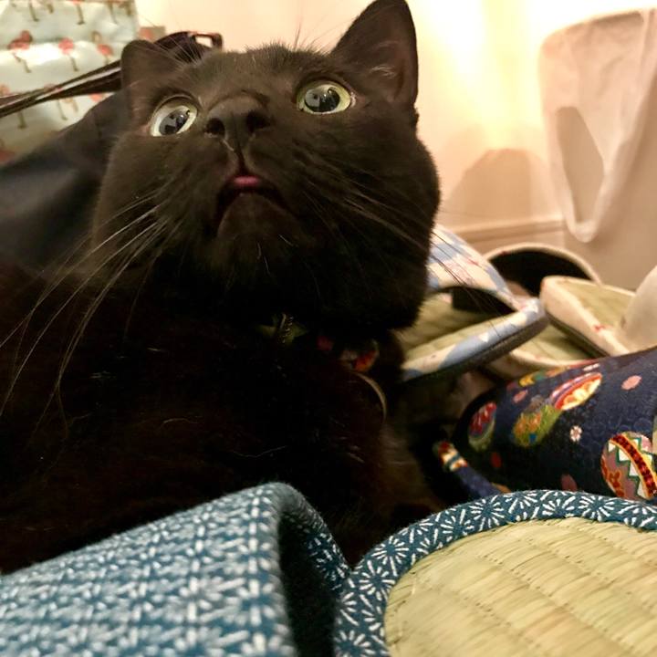 A671df18 11da 4224 a0e1 3ce5f2fbc42e 1525440502365