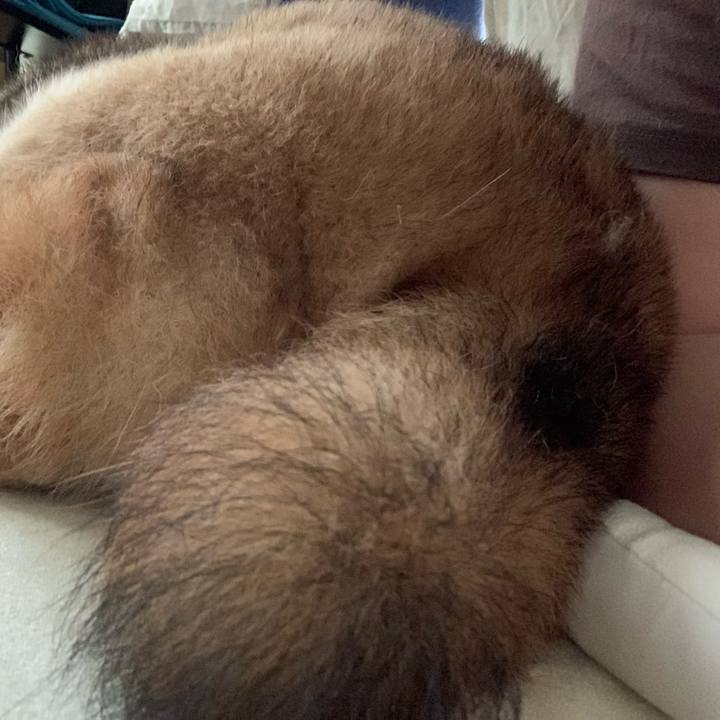 A671e371 6b83 4c1d b650 efb0b58a03e5 1683451917924