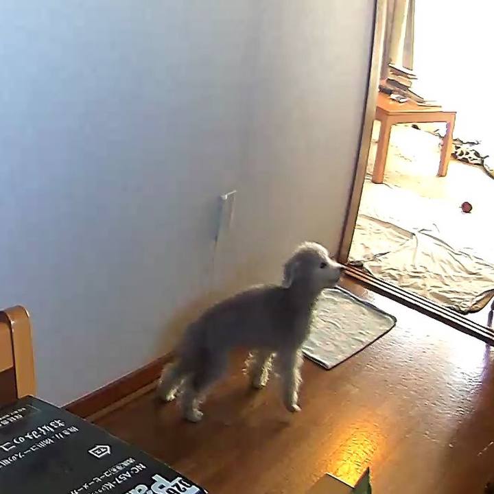 A671f09a 2b70 4604 8418 d090f3e64626 1582006862632