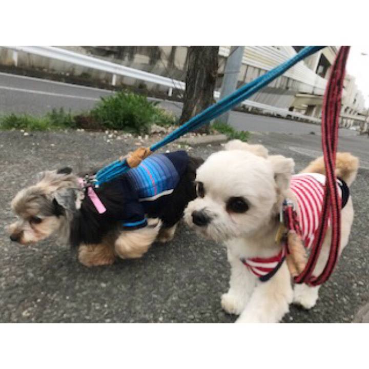 A671f101 e465 4968 bdc6 a368303ffd5f 1552562524680