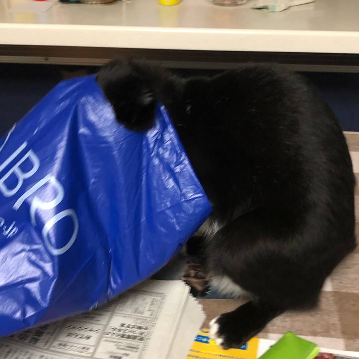 A67200ef 61f1 4176 9ac2 a5be70dd1c73 1545364073810