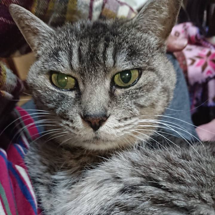 A6720ca0 ef45 4fd4 b160 caa8e6689872 1574939451618