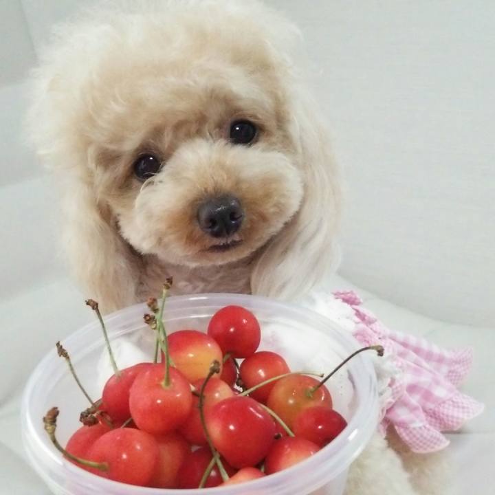 A6724004 0b2e 472e 9d63 59938f06be98 1529539122365