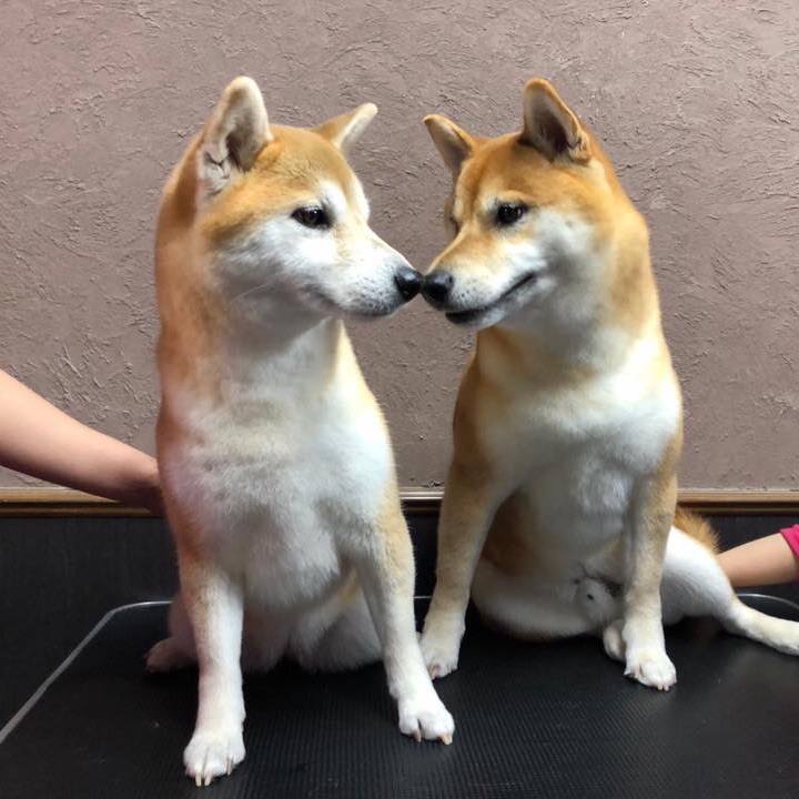 A6727113 db55 4d2a 9e88 6757124df718 1577799780071