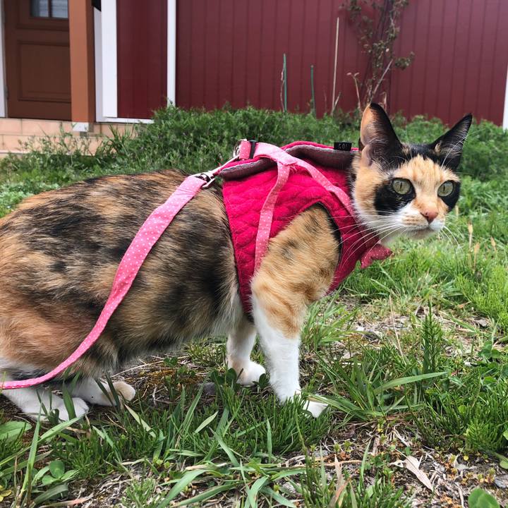 A67272a1 cc8f 469d 9198 cb21617c3134 1556186579001