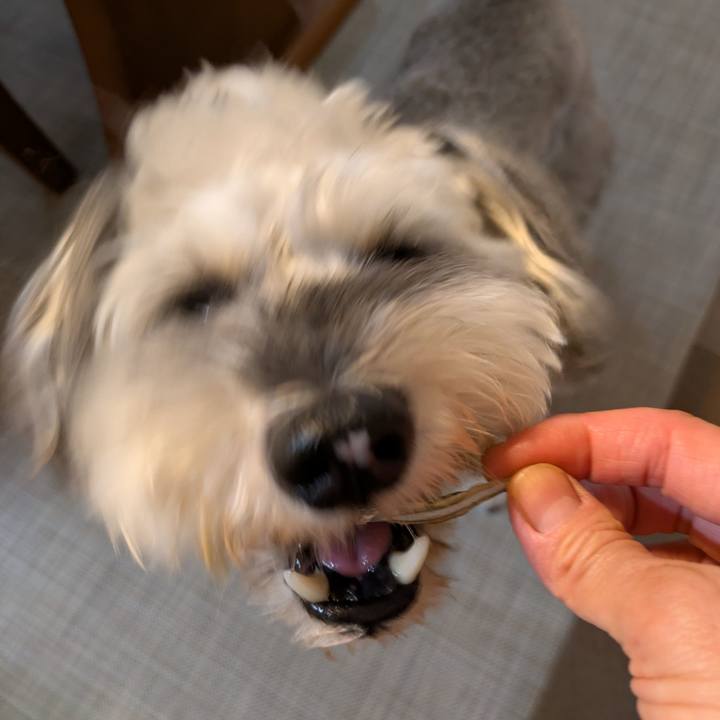 A6727bd2 c9e8 47cb ba1b 51eb75166c6b 1758256377006