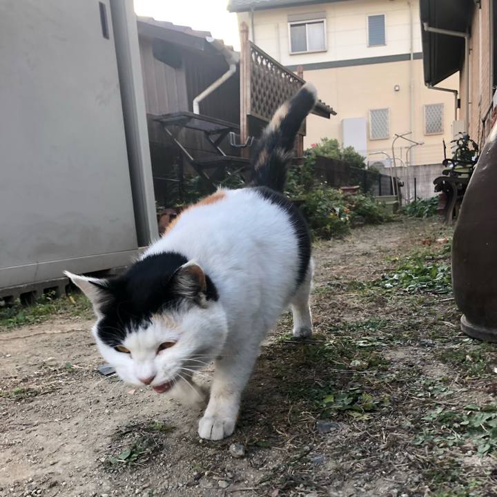 A6729a38 da8d 41e0 87f4 42dbc127f218 1608421059749