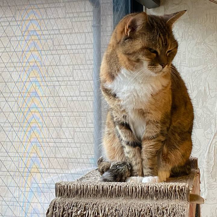 A672a5b9 feeb 4e35 94c9 dff3e267c088 1679906653873