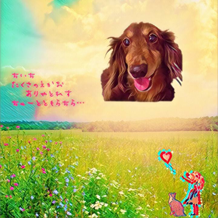 A672c13f 9509 4227 9f89 a32498d064ce 1530010529763