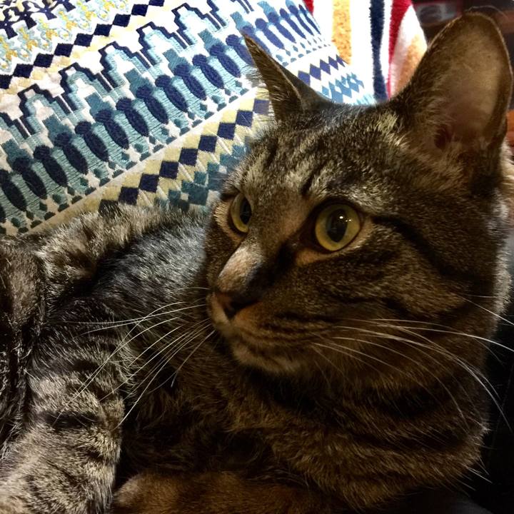 A672c488 fa17 4756 8898 13deef6ae5b7 1524044673412