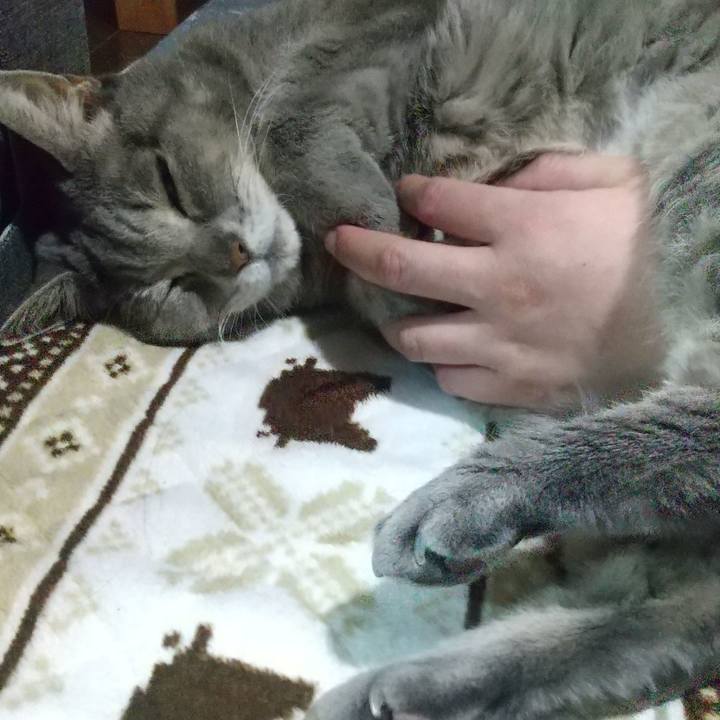 A672cf43 1ca9 47dc bc07 ee1f10d14600 1668947133610