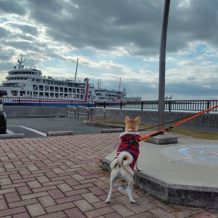 A6733949 f241 4c2b bd08 1025e83c8ff9 1765099796410