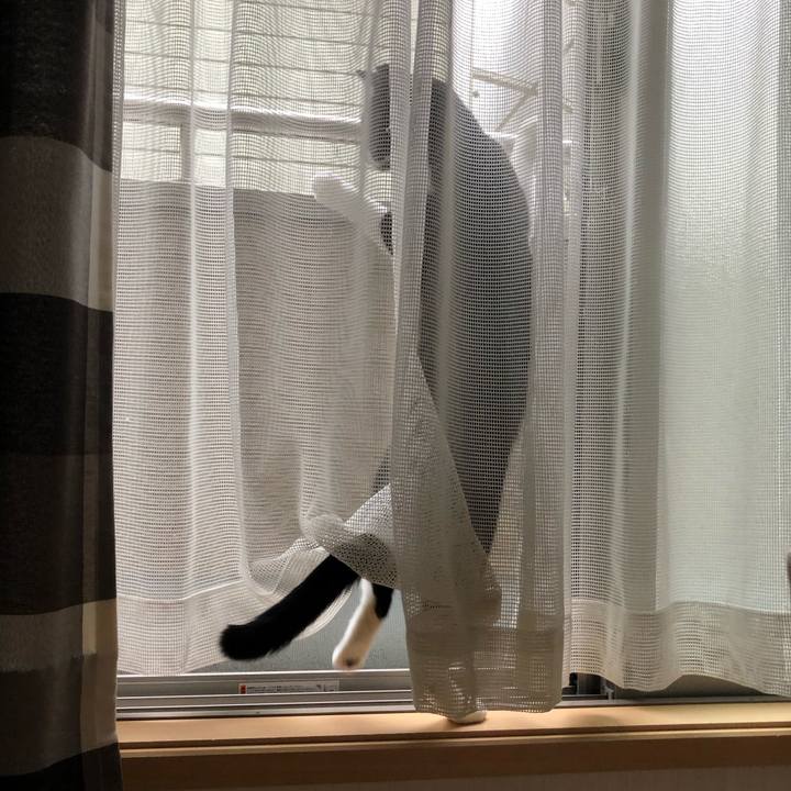 A673700b 06ed 4dcb 8b21 e21d18fb23fa 1556224643989