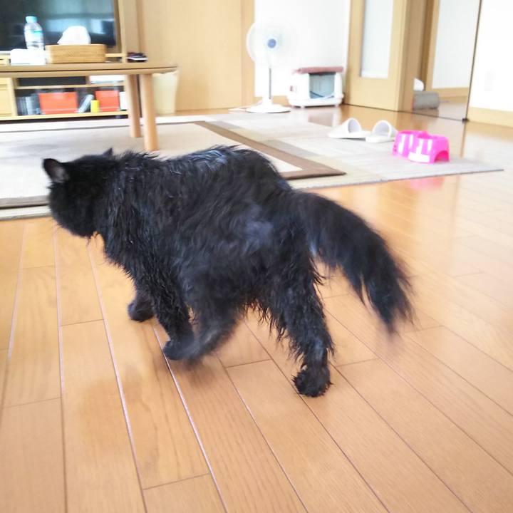 A67371ff 94d9 4257 94cf 706d4a76a8e9 1565836124965